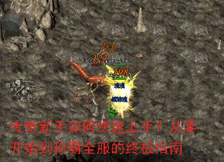 ����������ο������֣����㿪ʼ���ư�ȫ�����ռ�ָ��