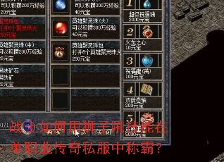 սʿ�����ʨ�Ӻ����ڵ�ְҵ����˽���гưԣ�