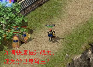 如何快速提升战力,成为沙巴克霸主? 如何快速提升战力,成为沙巴克霸主?