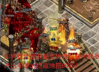����ҵ��¿����䴫��˽������Щ�����������ص�ͼBOSS��