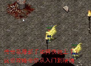 传奇私服新手如何快速上手?这份攻略带你从入门到精通 传奇私服新手如何快速上手?这份攻略带你从入门到精通