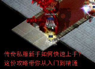 传奇私服新手如何快速上手?这份攻略带你从入门到精通 传奇私服新手如何快速上手?这份攻略带你从入门到精通