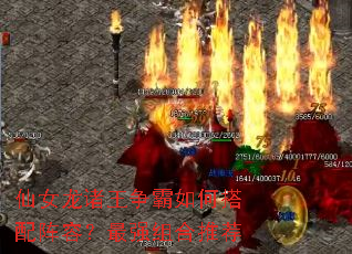 仙女龙诸王争霸如何搭配阵容?最强组合推荐 仙女龙诸王争霸如何搭配阵容?最强组合推荐