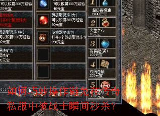 ���������������ڴ���˽���б�սʿ˲����ɱ��