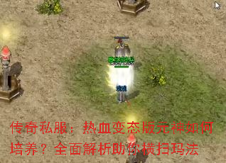 传奇私服:热血变态版元神如何培养?全面解析助你横扫玛法 传奇私服:热血变态版元神如何培养?全面解析助你横扫玛法