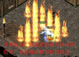 ����˽������Ѫ��̬��Ԫ�����������ȫ����������ɨ�귨